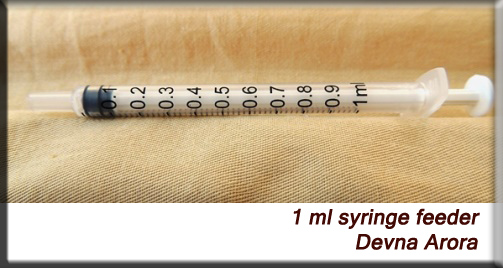 Devna Arora - Feeding syringe 1 ml